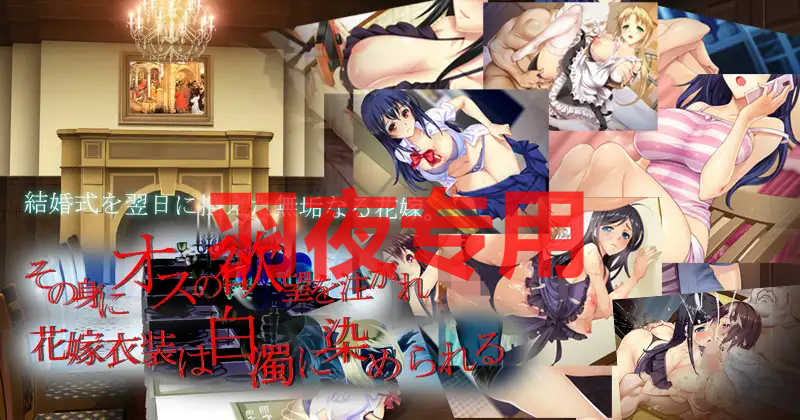 自宅警備員2 血業版 PC端 AI汉化版 预览图