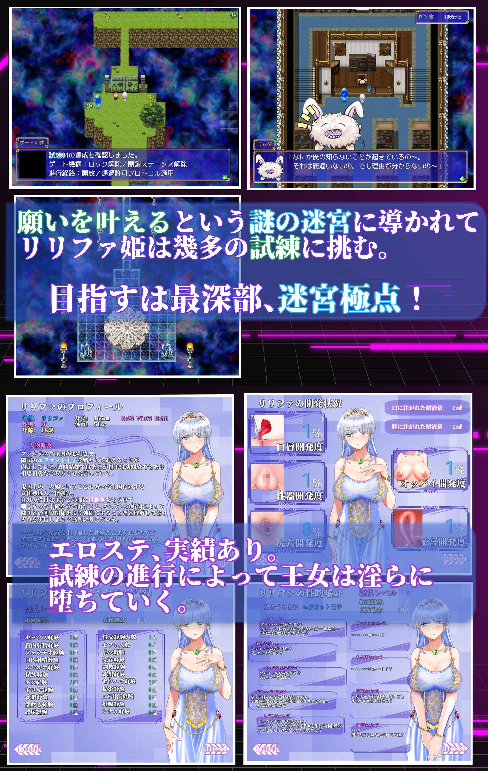 お姫さまにもできるNTR計画 1.0 PC端 日文原版 预览图