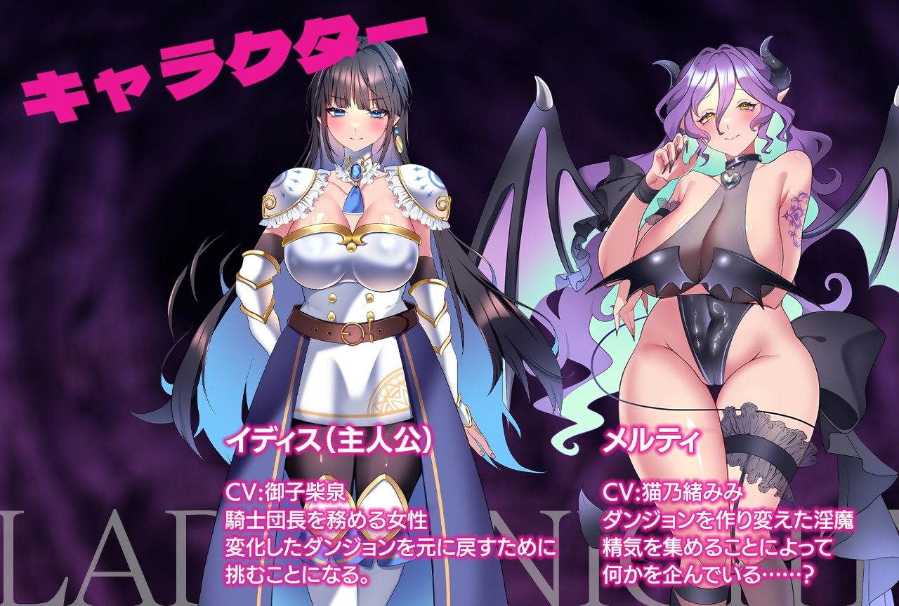 レディーナイト-魅魔の迷宮 PC端 AI汉化版 预览图