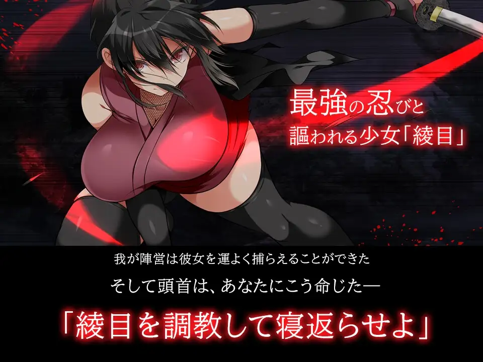 忍堕:女忍养成/女忍者堕落：忍堕とし B.13126066 STEAM官方中文版 PC端 官中更新版 预览图