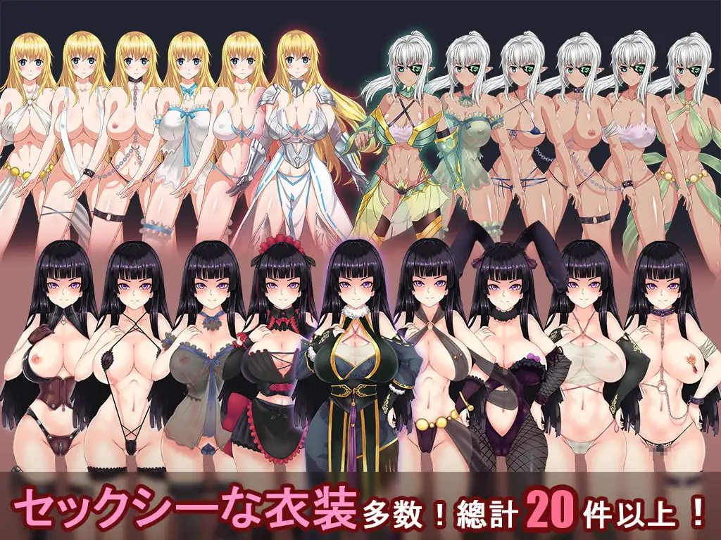 青龍劍姬傳/青龍剣姫伝 PC端 汉化版 预览图