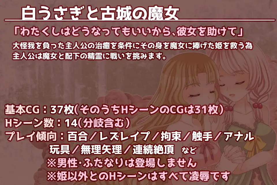 白うさぎと古城の魔女 PC端 AI汉化版 预览图
