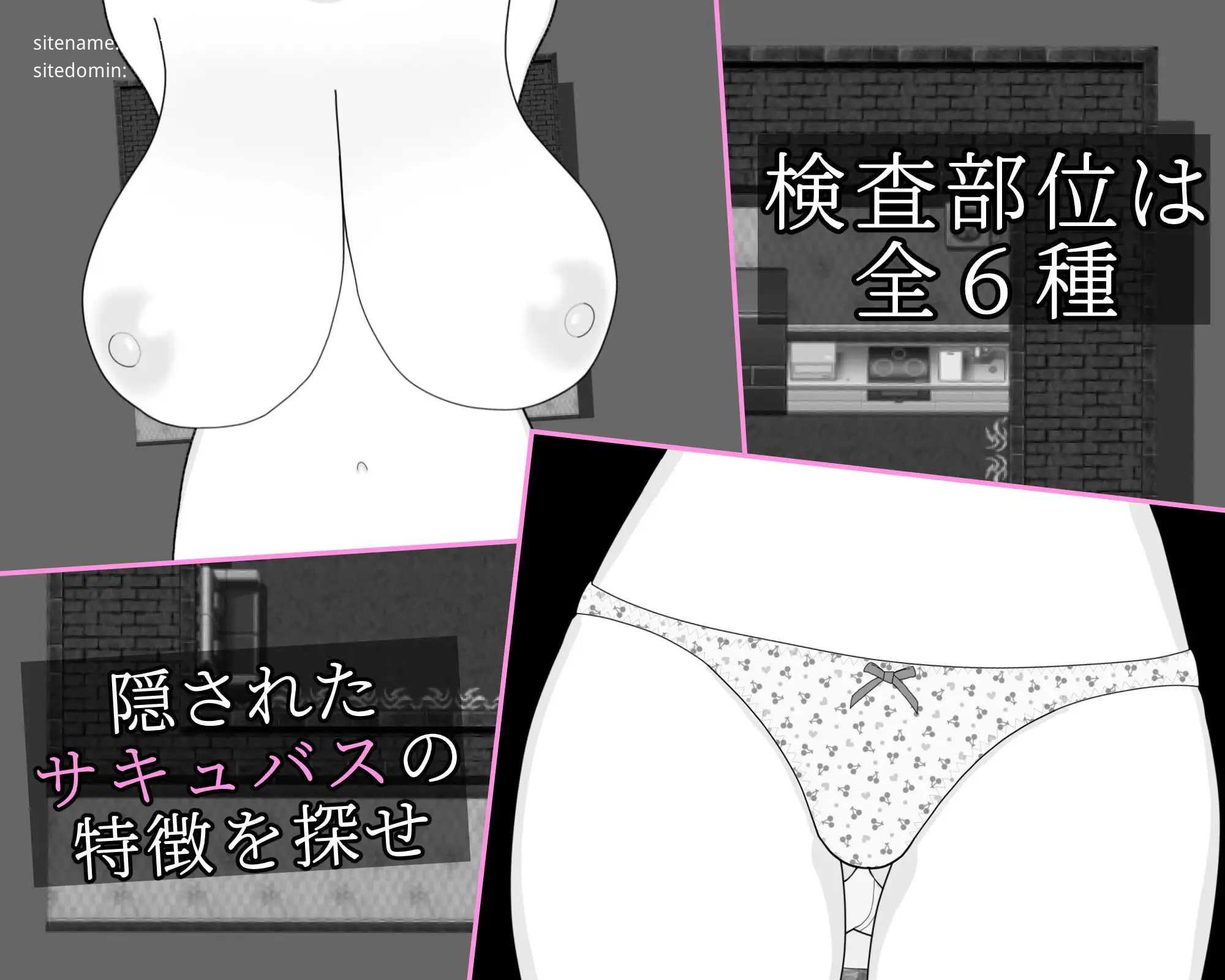这家风俗店不需要魅魔/この風俗店にサキュバスはいらない -No succubus Wanted PC端 AI汉化版 预览图