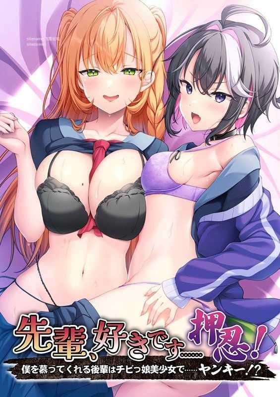前辈，我喜欢你……押忍！～仰慕我的后辈是矮个子美少女……不良少女！？ PC端 AI汉化版 预览图