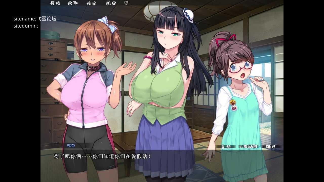 乱情小妹 v1.01/STEAM官方中文 PC端 官中版 预览图