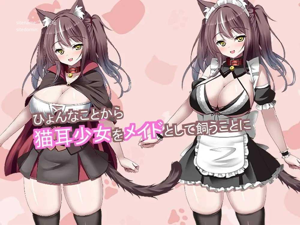 开始饲养猫耳女仆 ～与猫耳女仆的甜蜜同居生活～ ▫️ 猫耳メイドを飼いはじめました ～猫耳メイドとのイチャラブ同性生活～ ▫️ PC端 日文原版 预览图