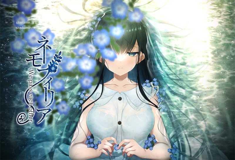 喜林草 -我们擦肩而过-/ネモフィリア -We pass each other PC端 AI汉化版 预览图