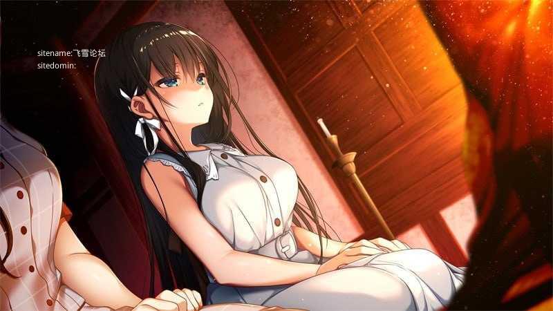 喜林草 -我们擦肩而过-/ネモフィリア -We pass each other PC端 AI汉化版 预览图