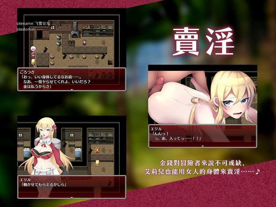 初出茅庐的艾莉儿与色色的遭遇～龙之牙冒险谭～ PC端 官中高清版 预览图
