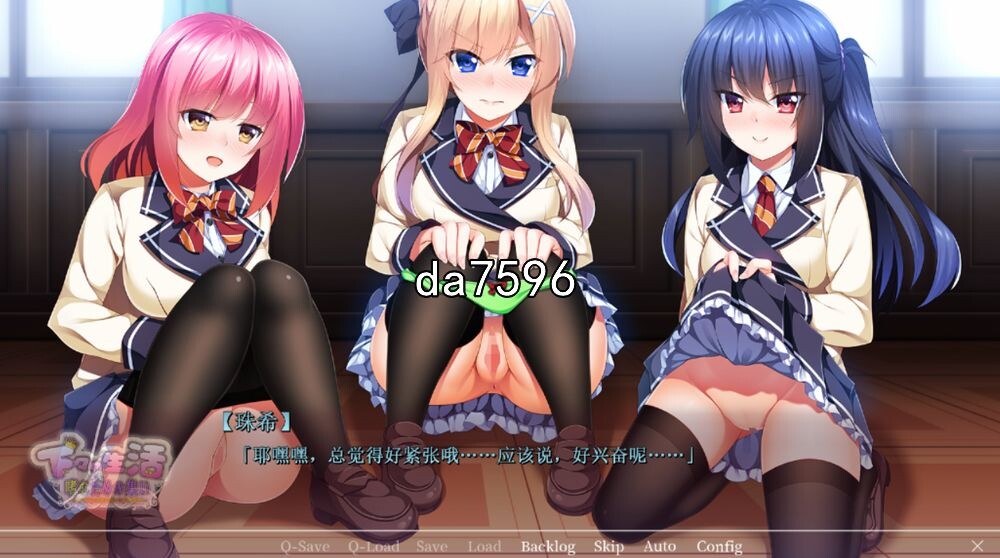 享受庶民生活的聚会 机翻版 PC端 完整版 预览图