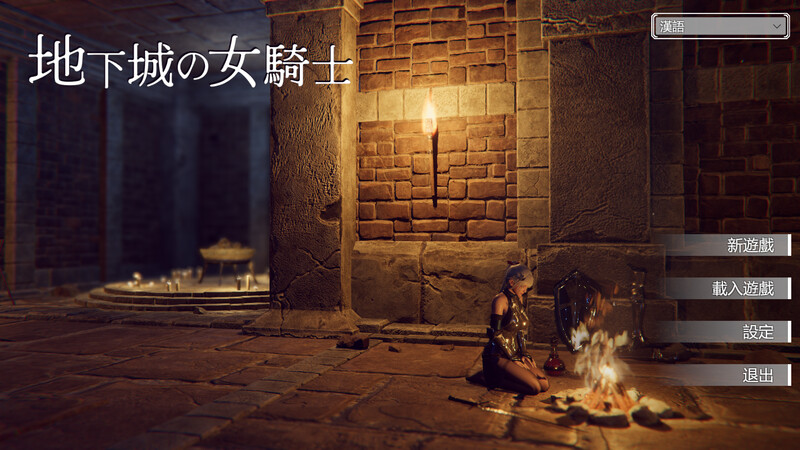 爆款ACT/3D作品/全动态/官中 地下城的女骑士（地下城の女騎士）STEAM官中完整版本 PC端 预览图
