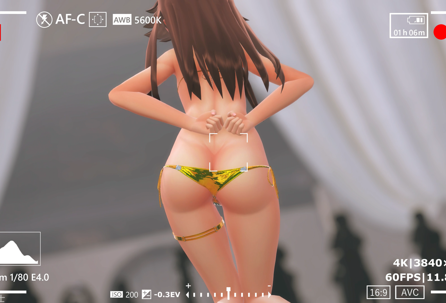 自购 MMD 一級在宅士24年至26年 6月合集 动漫视频 预览图