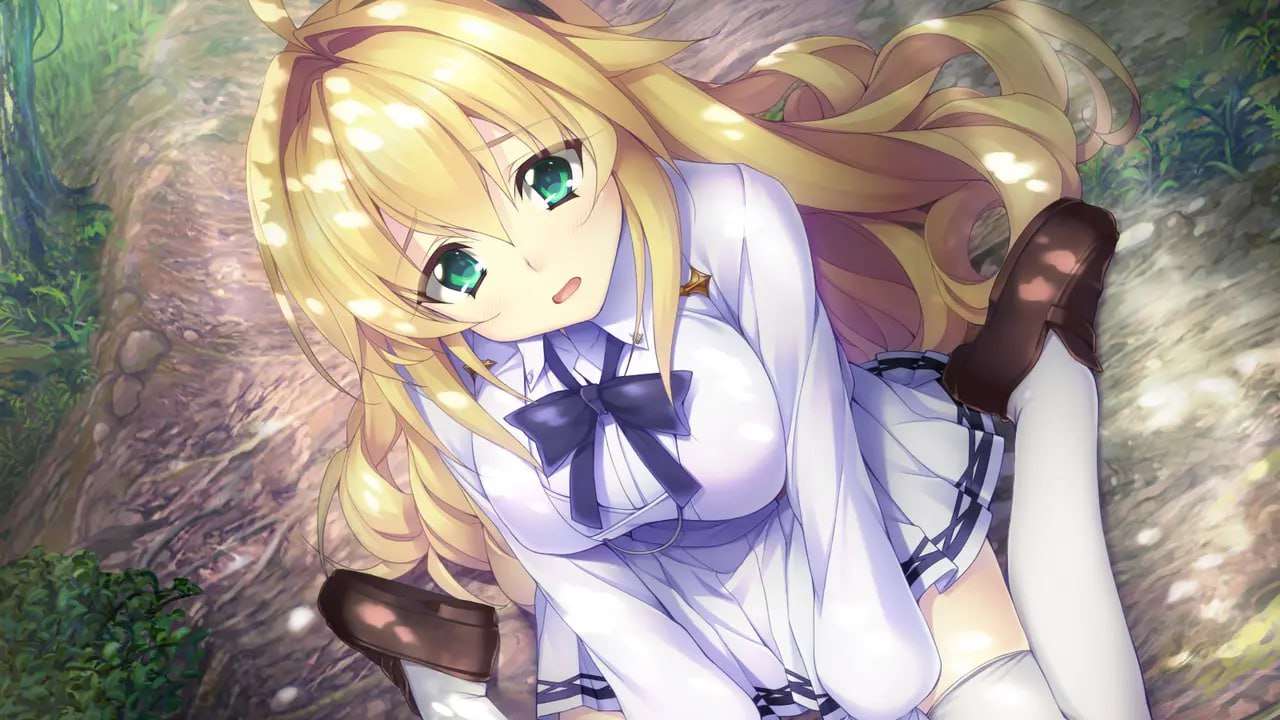 黑暗与庆典的圣域 ヤミと祝祭のサンクチュアリ 机翻汉化 PC端 AI汉化完整版 预览图