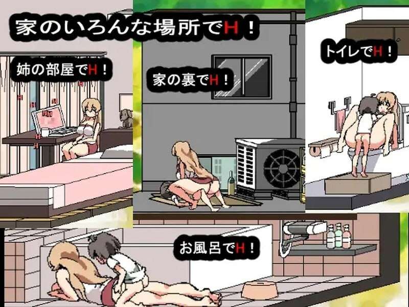 和家里蹲死宅女姐姐的剧情生活 引きこもり姉とまいにち互动ライフ 正式完整版 DL日文生特别 PC端 预览图
