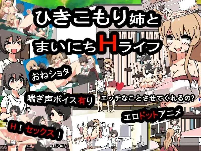 和家里蹲死宅女姐姐的剧情生活 引きこもり姉とまいにち互动ライフ 正式完整版 DL日文生特别 PC端 预览图