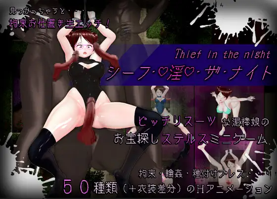 盗贼·淫·夜晚 シーフ・淫・ザ・ナイト PC端 AI汉化版 预览图
