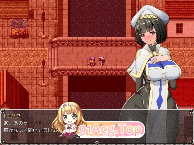 NTR女祭司重置 Ver2.0 重置汉化版 PC端 预览图