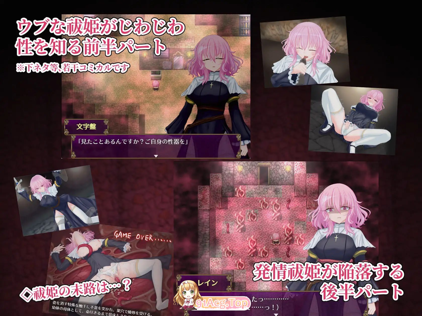退魔神官蕾茵与魔淫之洞窟/退魔神官へレインと魔淫の洞窟 PC端 AI汉化版 预览图