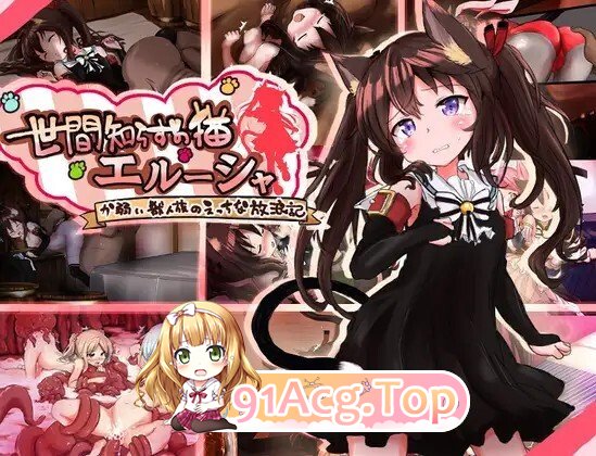 世間知らずの猫エルーシャ Ver1.03 PC端 AI汉化完整版 预览图