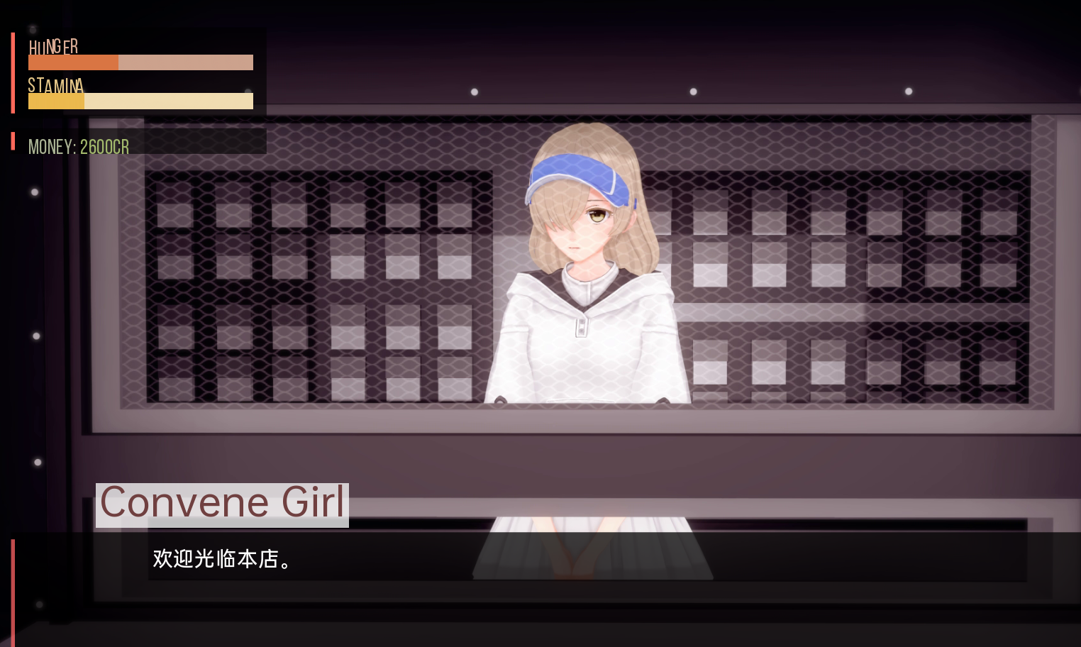 我的女仆梦中的电羊 My Maid Dreams of Electric Sheep v0.5.1 PC端 汉化版 预览图