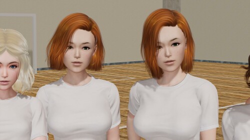 TheHeadMaster 校长先生！V0.15.2 精翻汉化版 双端 预览图