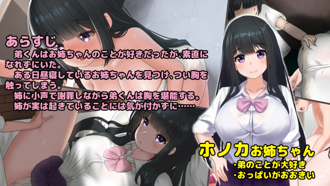 希望被弟袭击的姐姐 LIVE2D V1.04 高清版完全版 PC端 预览图