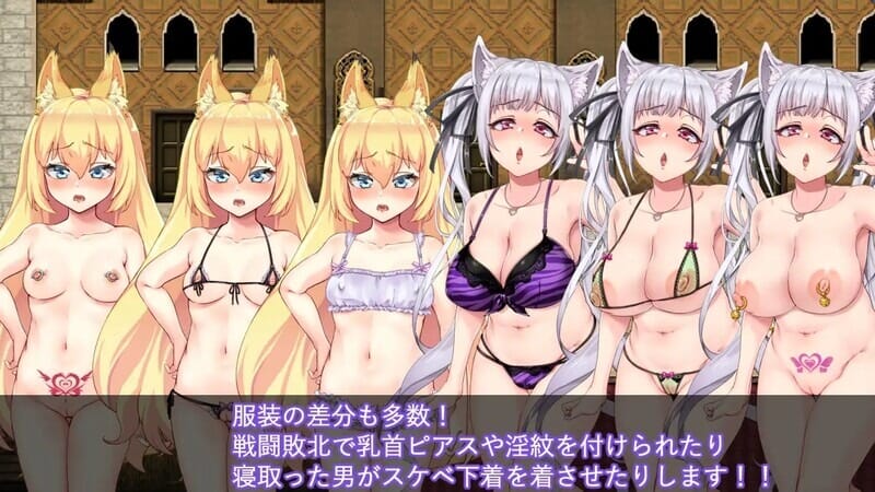 A1817兽耳少女才不会背叛呢（獣耳乙女は裏切らない）V1.01官中 PC端 官中版 预览图