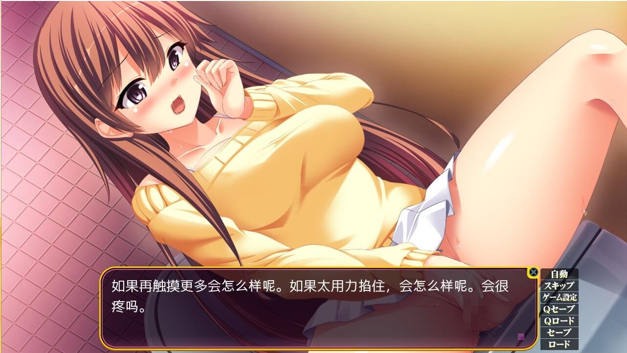 A2220 ADV汉化 TS杏换家人性換姉妹AI汉化版 PC端 AI汉化完整版 预览图