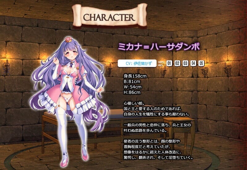 A2242[互动SLG调教压迫桥段动态PC]身体改造狂乱公主！亡国公主狂暴改造（女体狂乱プリンセス）DL生肉 PC端 日文原版 预览图