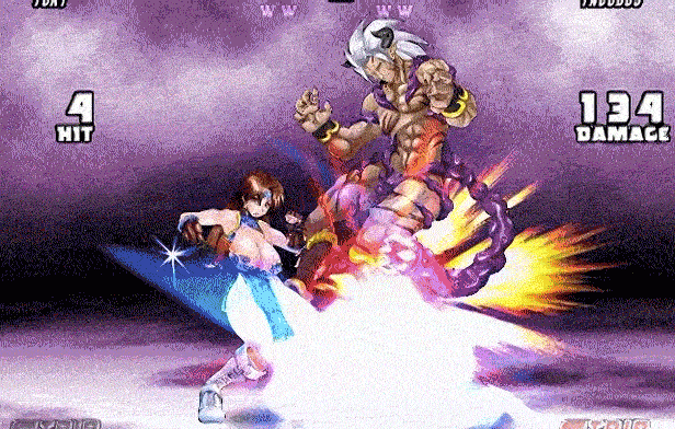 爆衣战士5:黑暗武斗会 Strip Fighter 5 CE V1.2hotfix STEAM官中版 豪华完整版 PC端 官中完整版 预览图