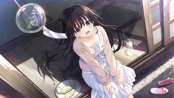 痴情哥哥与病弱妹妹的乡间生活 Sickly Days and Summer Traces DLC1-5 双端 步兵 预览图