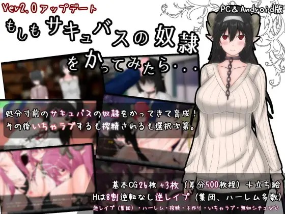 如果试着买下魅魔奴隶 もしもサキュバスの奴○をかってみたら Ver2.2 PC端 AI汉化版 预览图