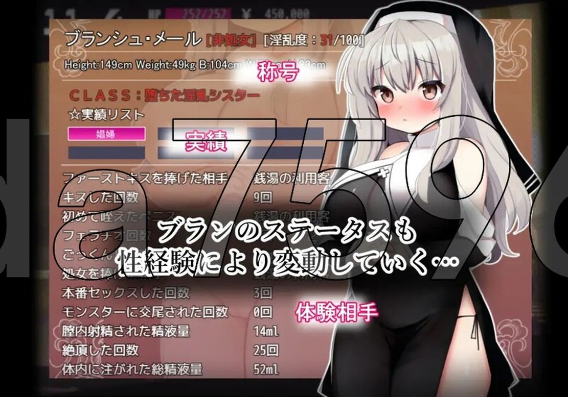 布兰修女和被封印的异化角色 シスターブランと封印の异化角色 v3.0 官方AI汉化版 PC端 预览图