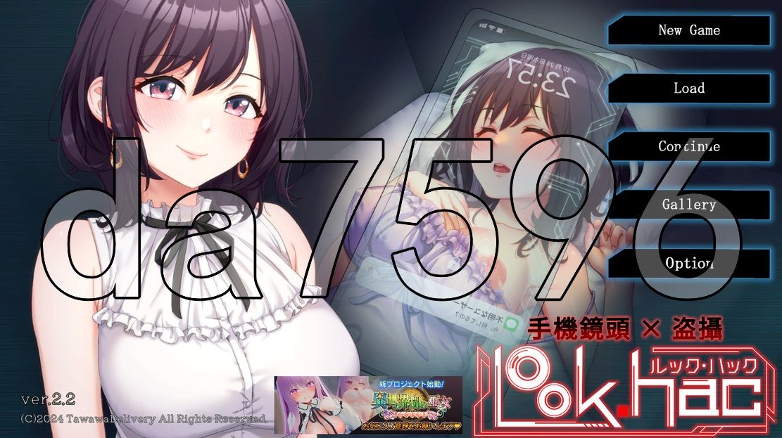 外观·黑客 LOOK.hac -ルック ハック v2.2 PC端 官中版 预览图