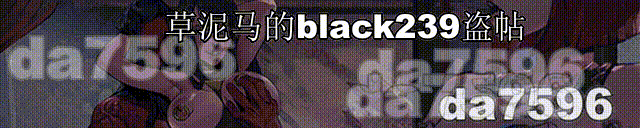 混沌种子 Seeds of Chaos V0.4.08 双端 汉化版 预览图