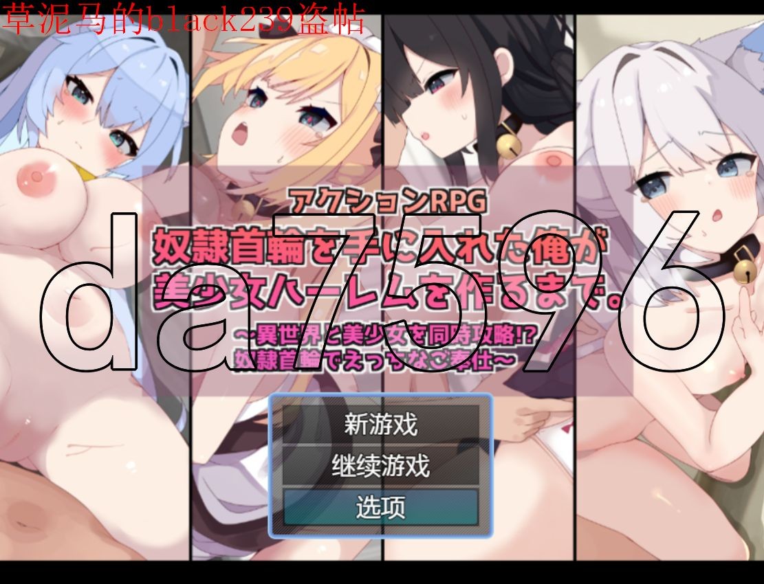 奴隶首轮 美女如云的多角色关系 v1.2 双端 AI汉化版 预览图