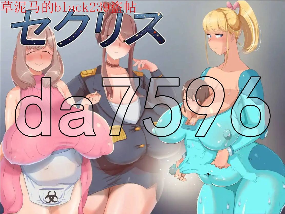 赛奇利斯 セクリス v1.3b 双端 AI汉化版 预览图