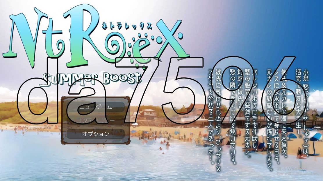 NTREX Summer Boost ネトラレックス サマーブースト 生肉版 【游戏语音】：日文 【文件说明】：※多空转 1.5 预览图