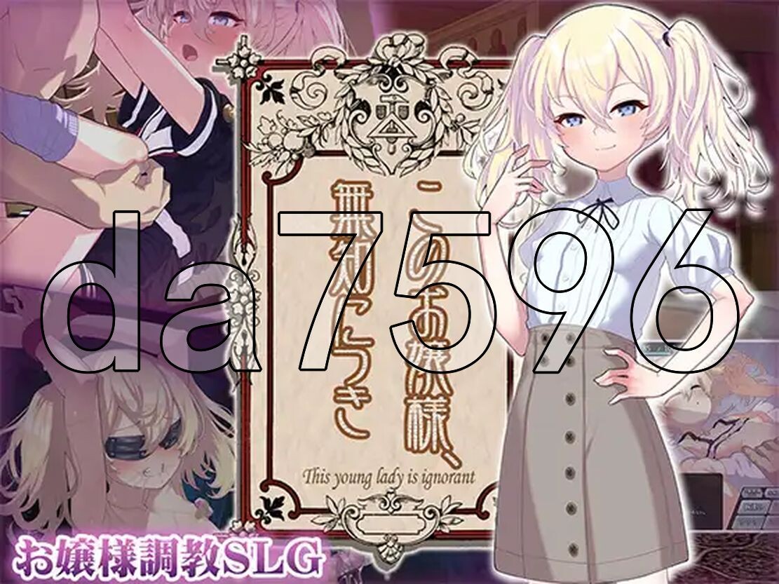 懵懂无知的大小姐 このお嬢様、無知につき Ver4 V1.2.2 PC端 AI汉化版 预览图