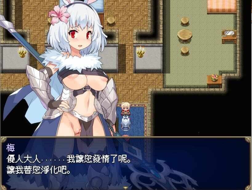 传承勇者成名录~v1.12官中步兵 PC端 官中高清完整版 预览图