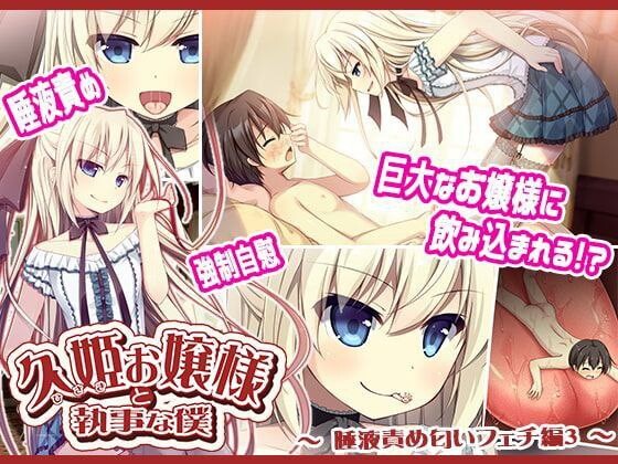 久姫お嬢様と執事な僕 Complete Edition PC端 汉化完整版 预览图