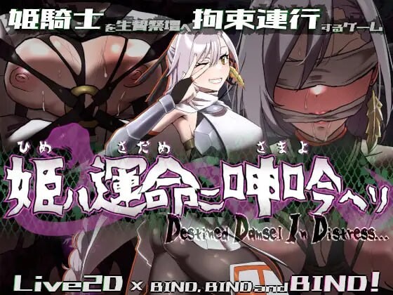 公主于命运枷锁下的悲鸣——宿命中的落难少女 姫ハ運命ニ呻吟ヘリ Destined Damsel In Distress PC端 更新版 预览图
