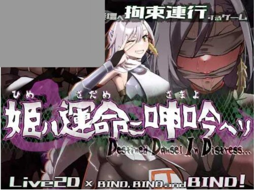 姬在命运中的呻吟 姫ハ運命ニ呻吟ヘリ Destined Damsel In Distress A PC端 AI汉化版 预览图