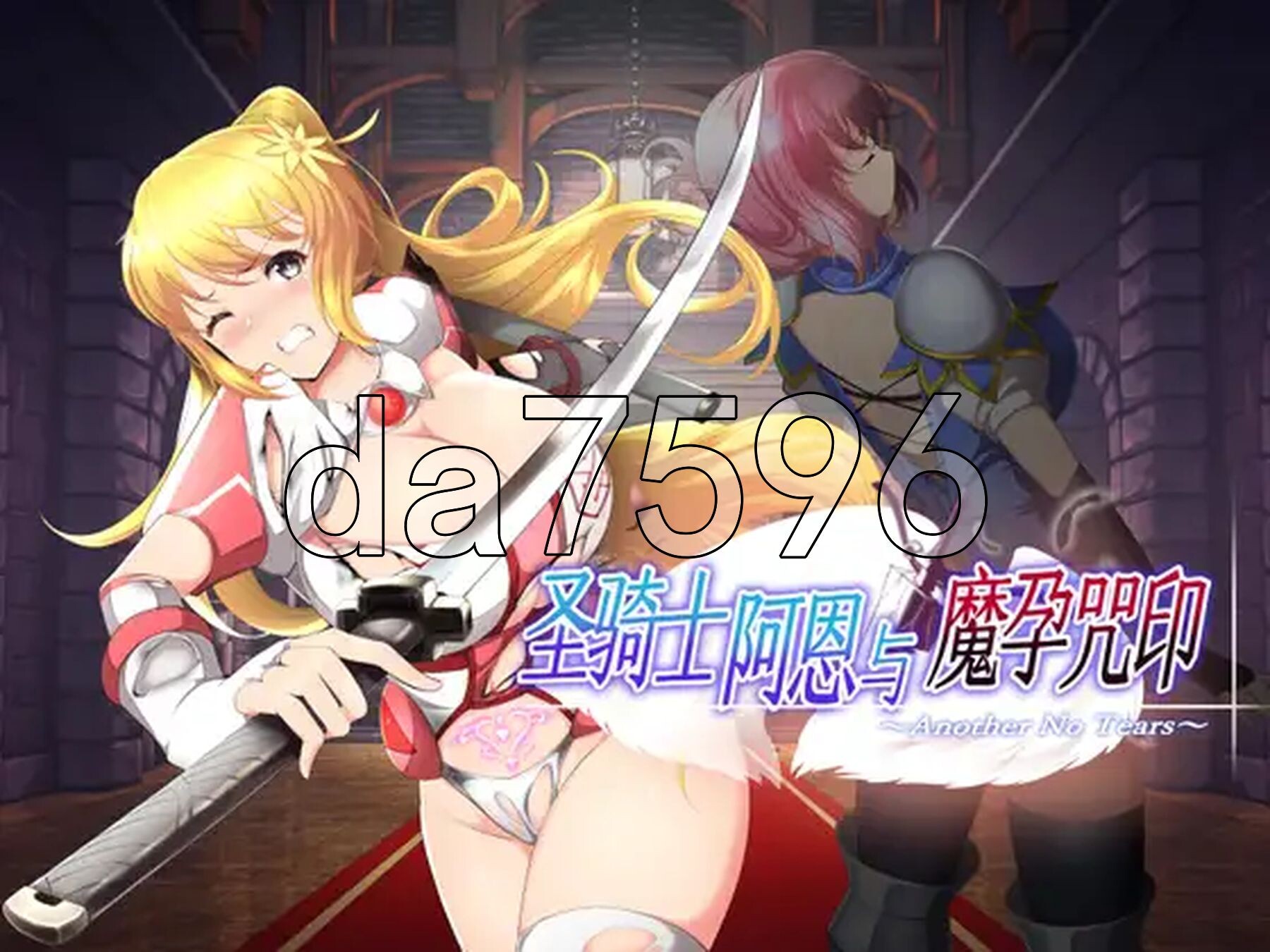 圣骑士阿恩与魔孕咒印 聖騎士アルネと魔孕の呪印～Another No Tears～ Ver1.0.10 官方中文版 PC端 官中版 预览图