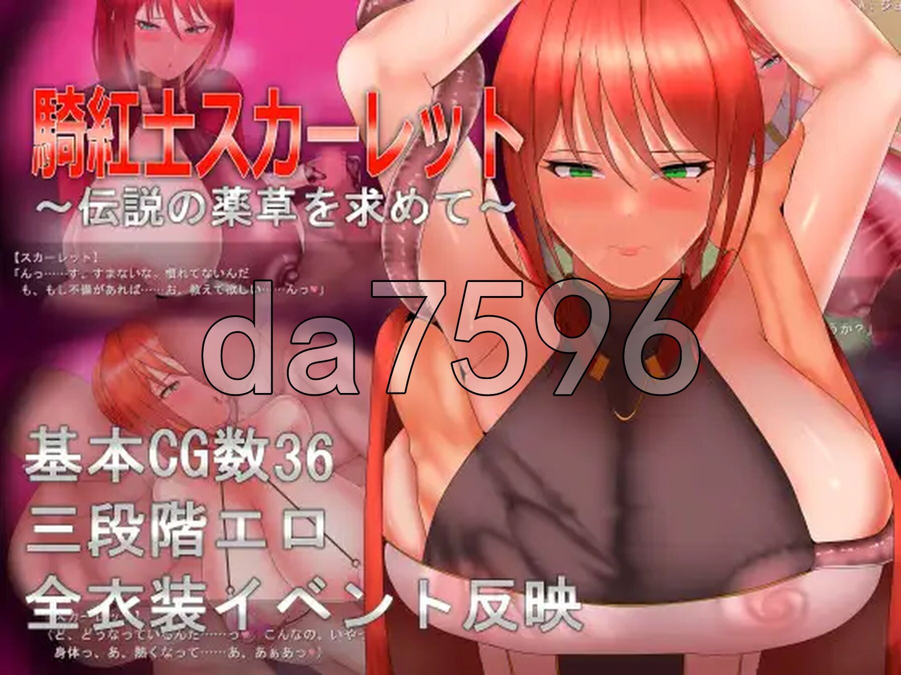 绯红骑士斯卡蕾特～追寻传说中的药草～ 騎紅士スカーレット～伝説の薬草を求めて～ PC端 AI汉化更新版 预览图