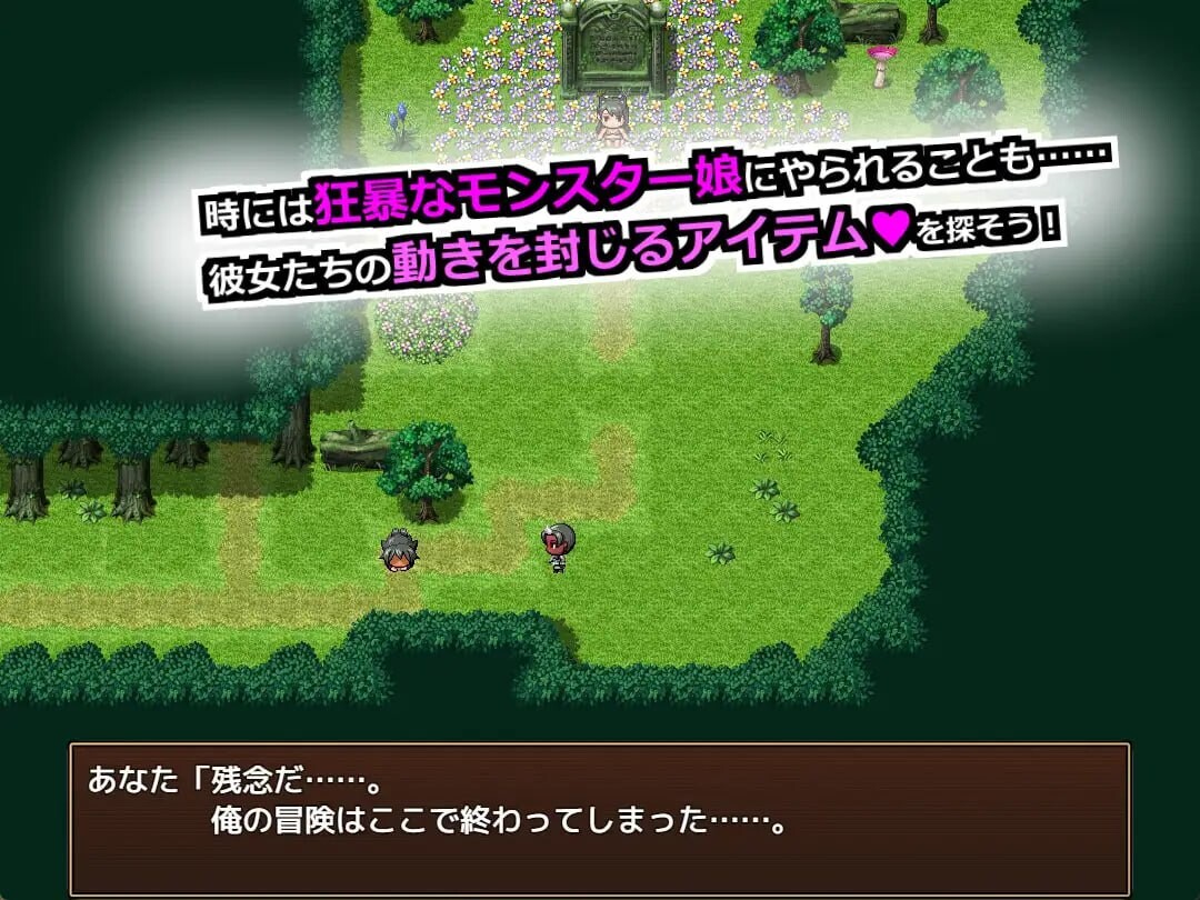 NPC凌辱录2：勇者·邪神·魔物娘 全员沦陷大乱交 THE NPC姦 2 『勇者も邪神もモン娘も 犯しまくりヤりまくり』 PC端 AI汉化版 预览图