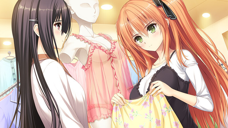 少女爱上姐姐3 処女はお姉さまに恋してる 3つのきら星 精翻汉化 PC端 汉化完整版 预览图