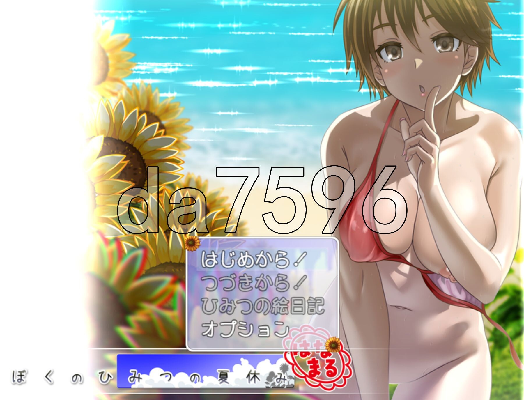 我秘密的暑假时光 ぼくのひみつの夏休み はなまる v1.0.0 AI汉化版 正式版 PC端 预览图