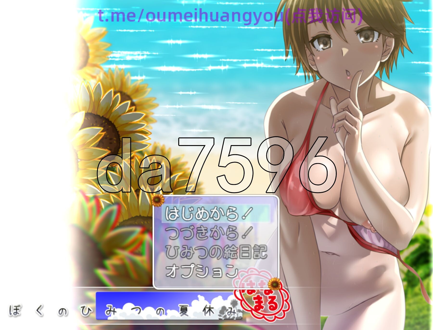 我秘密的暑假时光 ぼくのひみつの夏休み はなまる v1.0.1 AI汉化版 正式版 PC端 预览图
