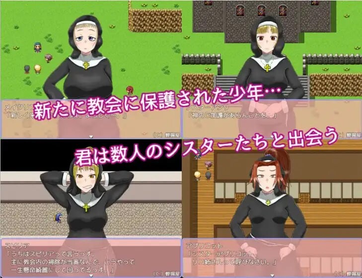 最喜欢帕拉迪安教会 双端 汉化版 预览图